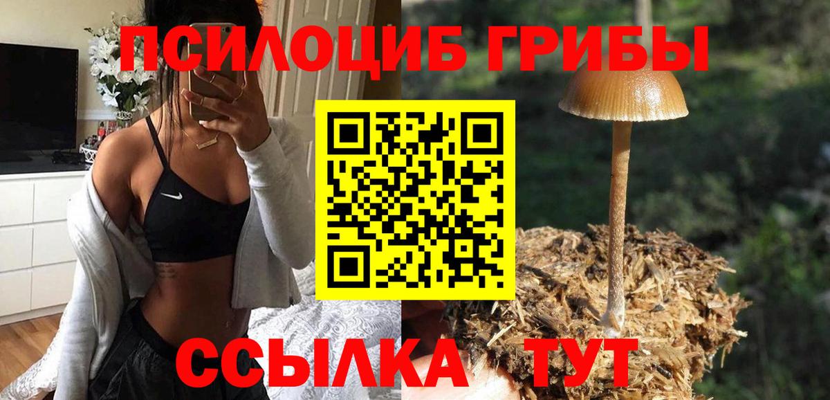 Галлюциногенные грибы Magic Shrooms  Галлюциногенные грибы GOLDEN TEACHER  Вход с VPN  Димитровград 
