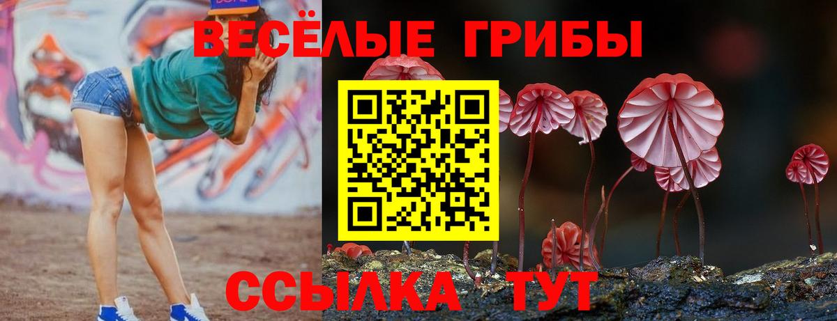 Галлюциногенные грибы ЛСД Димитровград